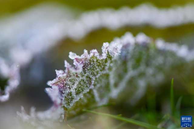 微视界——霜降