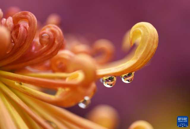 微视界——霜降