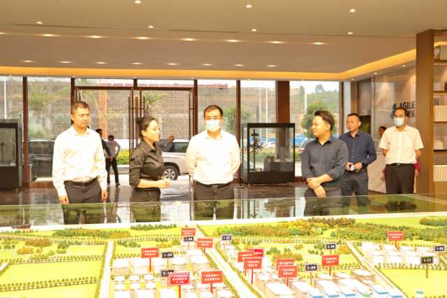 广西壮族自治区生态环境厅厅长陈亮深入来宾四县市调研