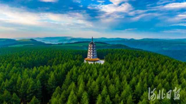 塞罕坝：世界最大人工林踏上“二次创业”路
