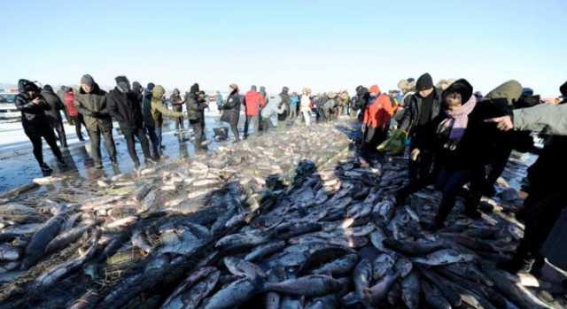 二十大时光|查干湖“年年有鱼”源自一本生态账