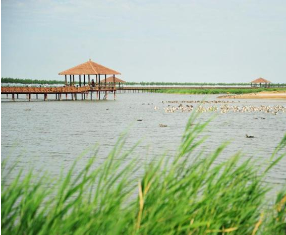 二十大时光|查干湖“年年有鱼”源自一本生态账