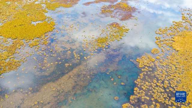 瞰黄河上游湿地秋韵 瞰黄河上游湿地秋韵