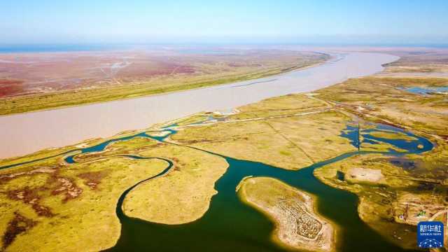 (新华全媒+ )湿地之美丨山东黄河三角洲湿地