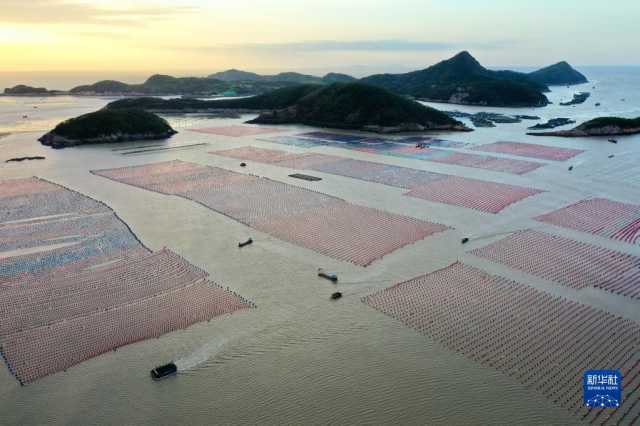 新华全媒+丨福建霞浦：霞光谱出致富曲