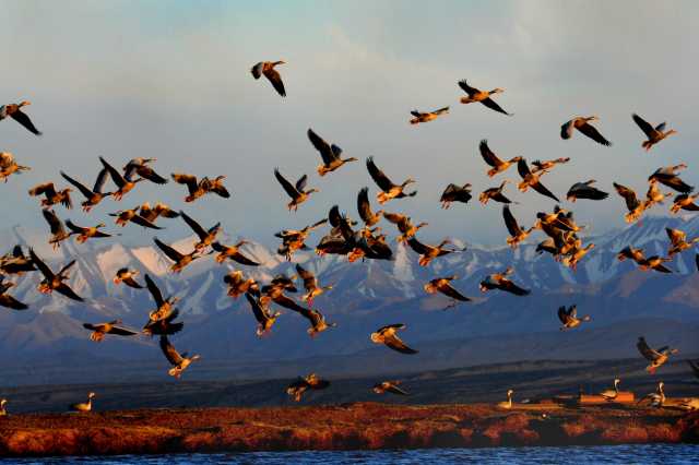 守住自然生态安全边界,筑牢国家西部生态安全屏障——甘肃生态文明建设纪实 守住自然生态安全边界,筑牢国家西部生态安全屏障——甘肃生态文明建设纪实