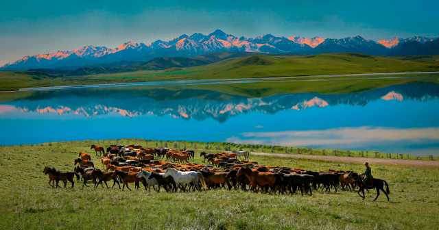 守住自然生态安全边界,筑牢国家西部生态安全屏障——甘肃生态文明建设纪实 守住自然生态安全边界,筑牢国家西部生态安全屏障——甘肃生态文明建设纪实