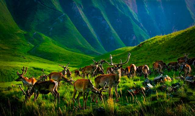 守住自然生态安全边界,筑牢国家西部生态安全屏障——甘肃生态文明建设纪实 守住自然生态安全边界,筑牢国家西部生态安全屏障——甘肃生态文明建设纪实