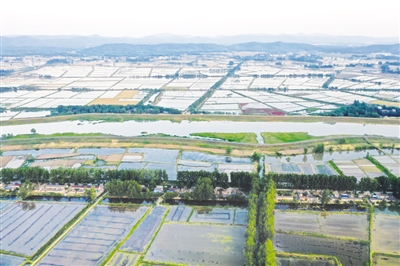 全椒县做好五篇“生态文章” 擦亮高质量发展绿色底色