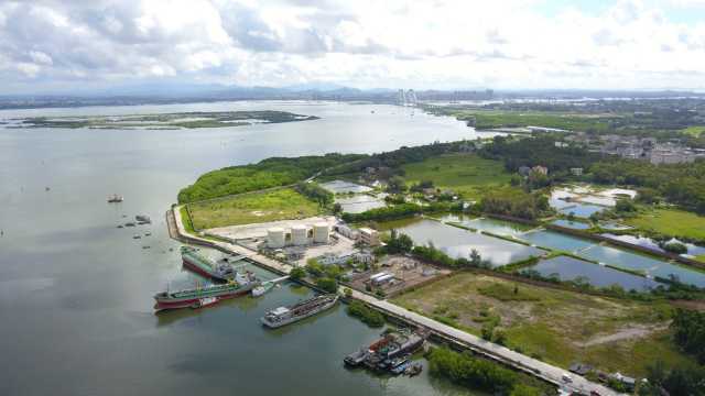 茂名：建设人与自然和谐共生的滨海绿城