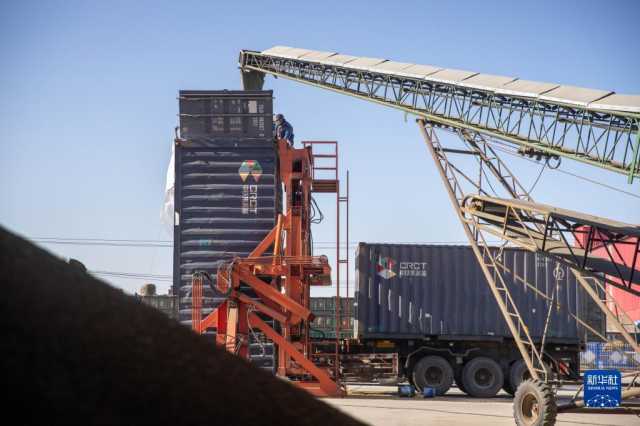 新华全媒+丨中国产粮第一大省秋粮收购有序展开