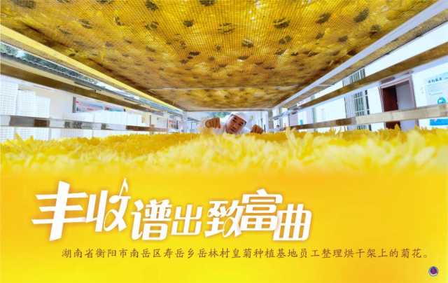 丰收谱出致富曲 丰收谱出致富曲