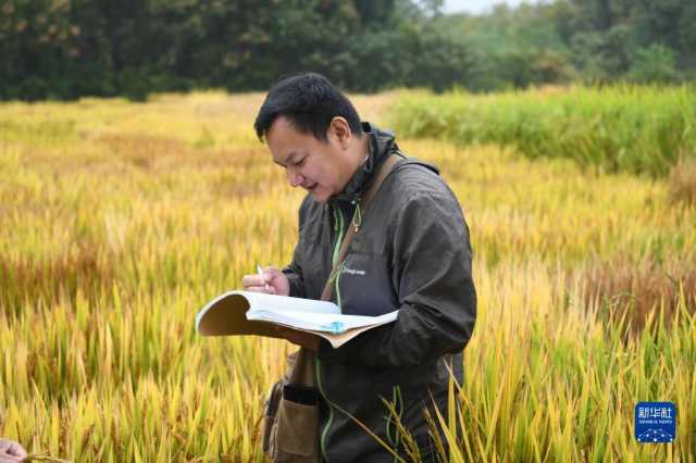 新华全媒+丨科技育种路 追梦不止步 新华全媒+丨科技育种路 追梦不止步