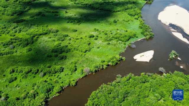 湿地之美丨内蒙古额尔古纳湿地 湿地之美丨内蒙古额尔古纳湿地