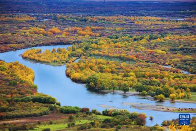 湿地之美丨内蒙古额尔古纳湿地 湿地之美丨内蒙古额尔古纳湿地