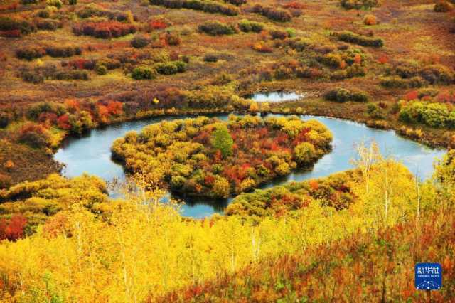 湿地之美丨内蒙古额尔古纳湿地 湿地之美丨内蒙古额尔古纳湿地