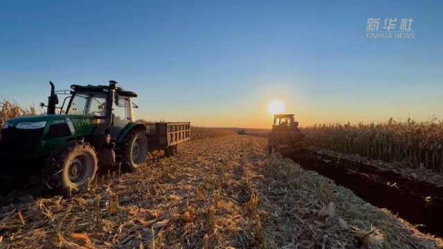 新华全媒+丨黑龙江牡丹江：玉米收获超500万亩