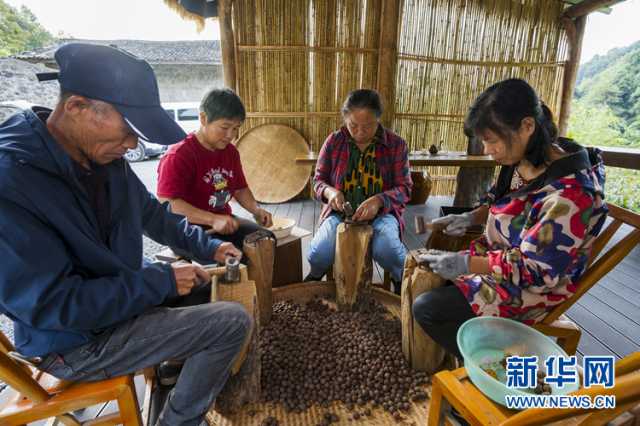 乡村振兴在行动｜安徽宁国：“小山变大山” 致富路更宽