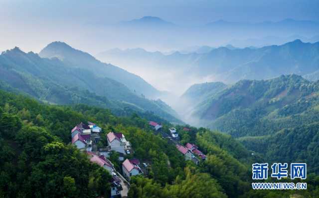 乡村振兴在行动｜安徽宁国：“小山变大山” 致富路更宽