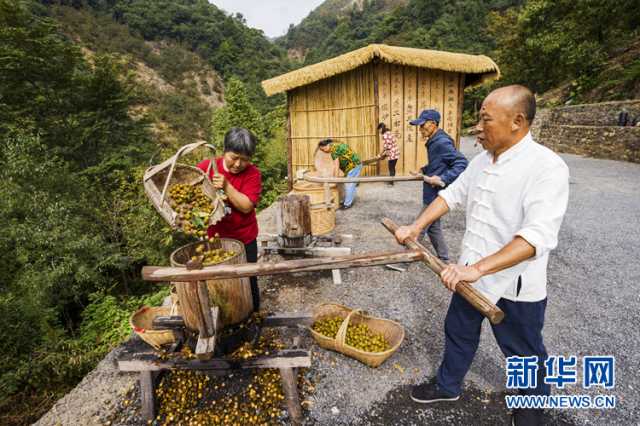 乡村振兴在行动｜安徽宁国：“小山变大山” 致富路更宽