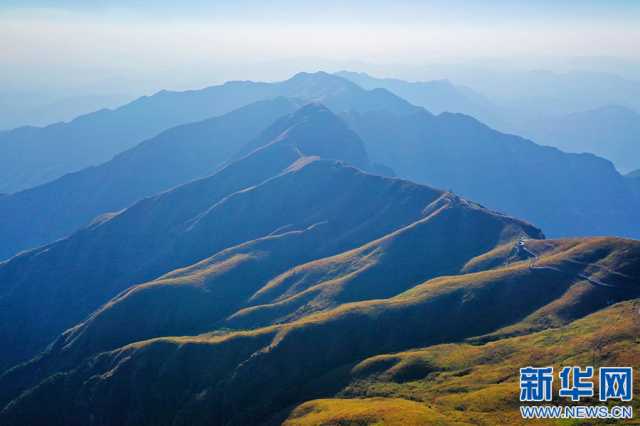 江西武功山：金色高山草甸 描绘秋日风光