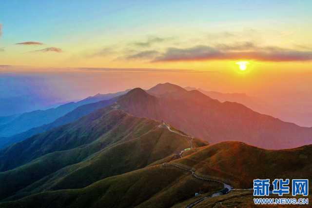 江西武功山：金色高山草甸 描绘秋日风光