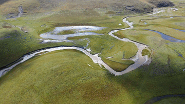 新华全媒+｜探访黄河首曲 感受高原湿地治理成效