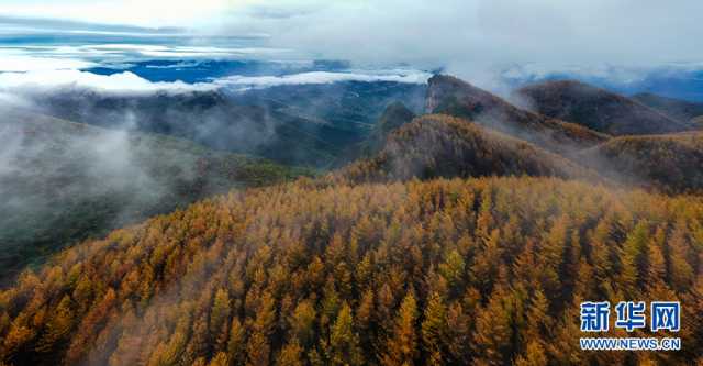 【“飞阅”中国】在梨子坪森林公园赴一场秋日之约