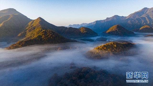 领略湿地之美|神农架大九湖的秋日清晨