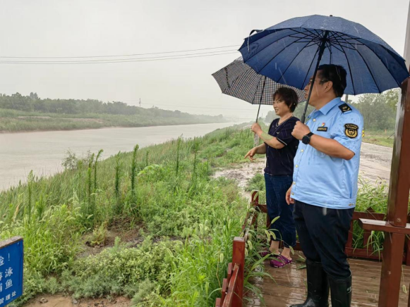 环境好不好，鸟儿最知道！黑天鹅东营安家