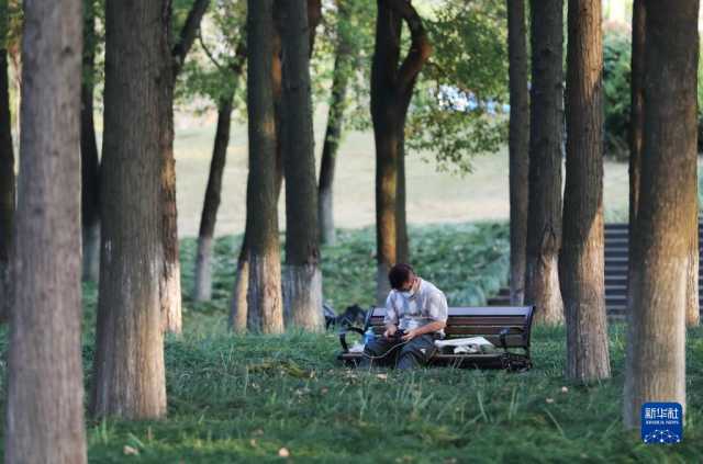新华全媒+丨武汉青山江滩:旧工业码头的绿色蝶变 新华全媒+丨武汉青山江滩:旧工业码头的绿色蝶变