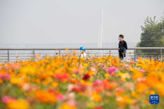 新华全媒+丨武汉青山江滩:旧工业码头的绿色蝶变 新华全媒+丨武汉青山江滩:旧工业码头的绿色蝶变