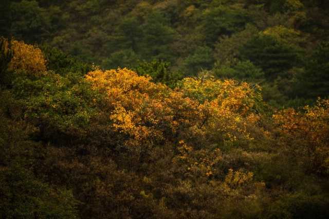 光影一瞥：白洋淀上的“破冰”美景