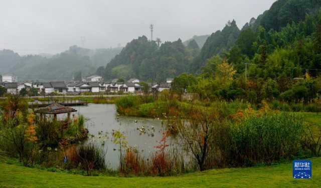 大美湿地城市丨重庆梁平