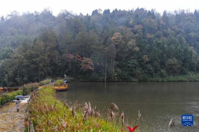 大美湿地城市丨重庆梁平