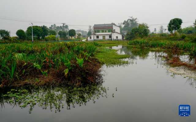 大美湿地城市丨重庆梁平