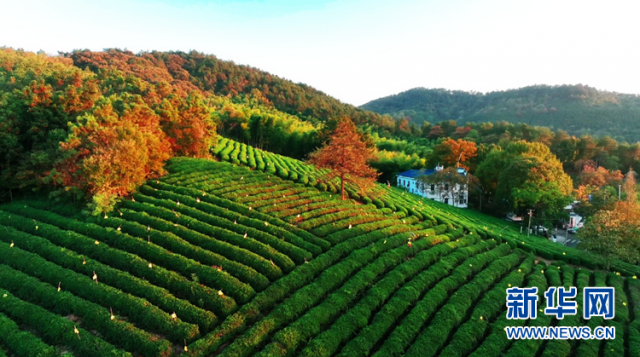 【“飞阅”中国】山峦披彩衣 斑斓似画卷