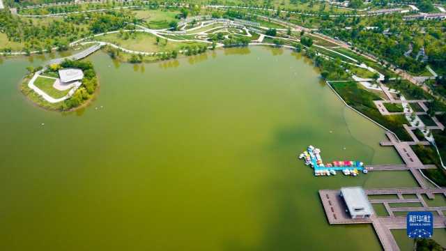 大美湿地城市丨济宁
