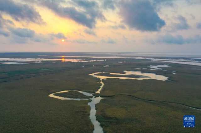 大美湿地城市｜盐城