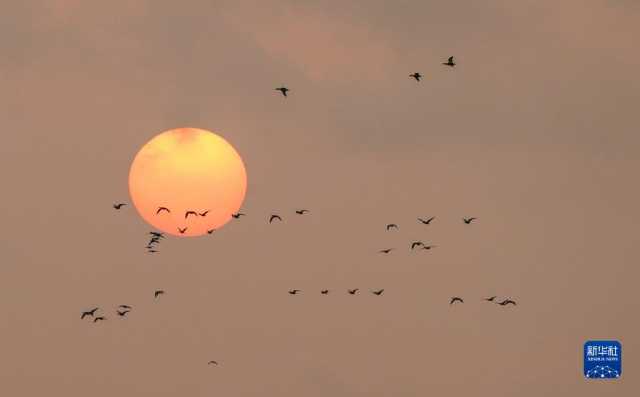 大美湿地城市｜盐城