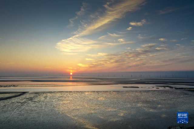 大美湿地城市｜盐城