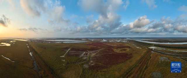 大美湿地城市｜盐城