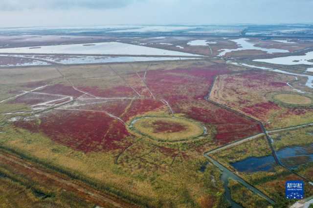 大美湿地城市｜盐城