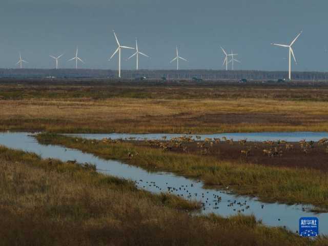 大美湿地城市｜盐城