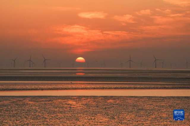 大美湿地城市｜盐城