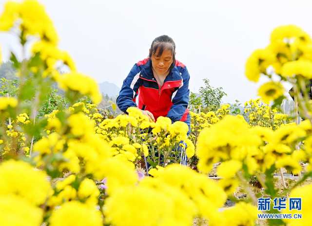 【“飞阅”中国】景美业兴幸福来：武陵山乡的冬日美好