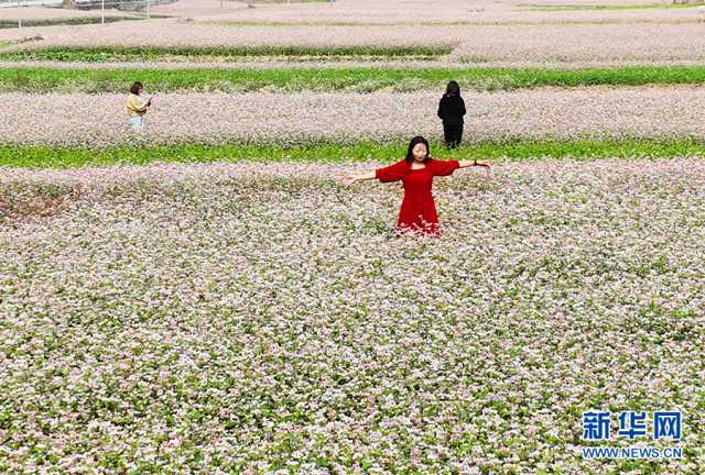 【“飞阅”中国】景美业兴幸福来：武陵山乡的冬日美好