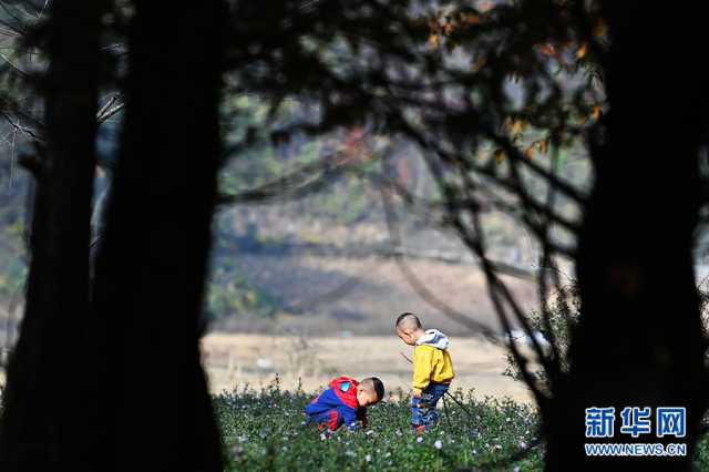 【“飞阅”中国】景美业兴幸福来：武陵山乡的冬日美好