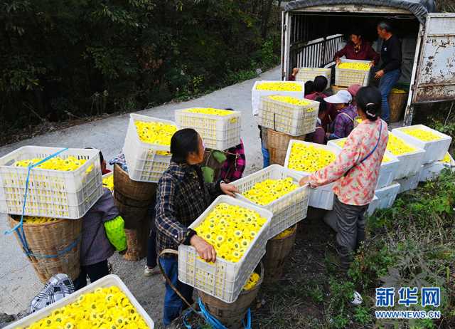 【“飞阅”中国】景美业兴幸福来：武陵山乡的冬日美好