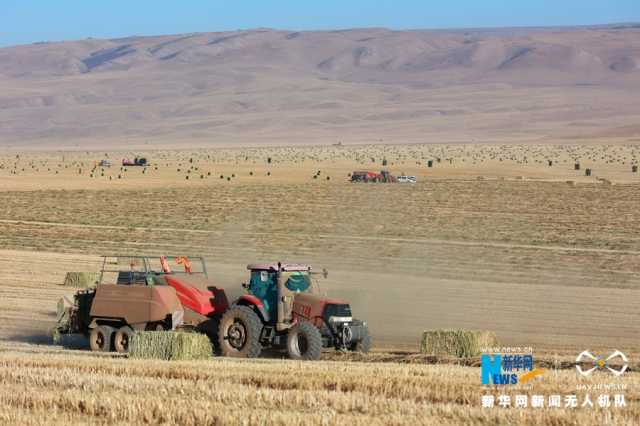 【“飞阅”中国】山丹马场初冬别样“丰”景 【“飞阅”中国】山丹马场初冬别样“丰”景